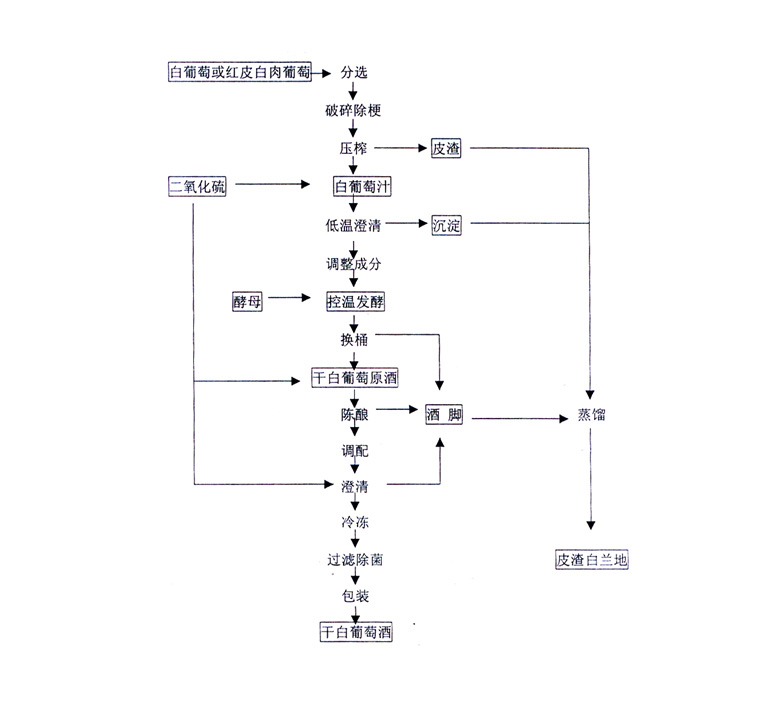 幹白(bái)葡萄酒生(shēng)産工(gōng)藝流程